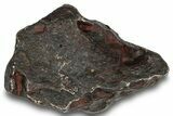Canyon Diablo Iron Meteorite ( g) - Arizona #249937-1